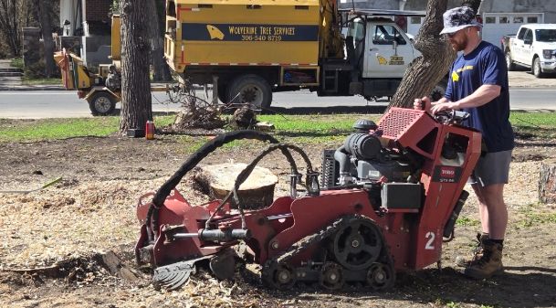 stump_grinding